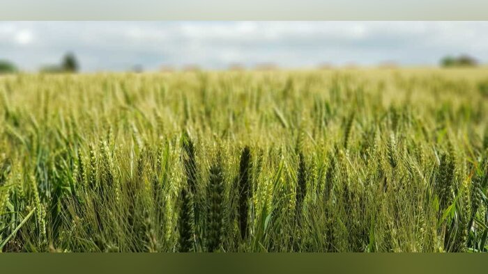 Interdiction des effluents d’origine industrielle en bio, des conséquences économiques importantes