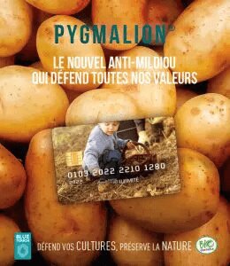 Enfin un fongicide biocontrôle à action systémique en grandes cultures ! - © D.R.