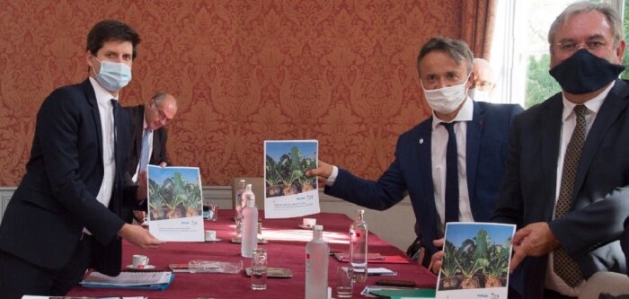 Alternatives aux néonicotinoïdes, l’ITB et l’Inrae planchent sur des solutions opérationnelles