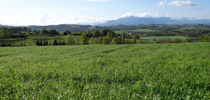 Semences de Provence et Sem-Partners annoncent un accord de distribution