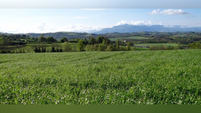 Semences de Provence et Sem-Partners annoncent un accord de distribution