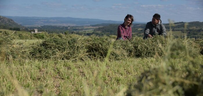 Limagrain, partenaire des producteurs de Saint-Nectaire