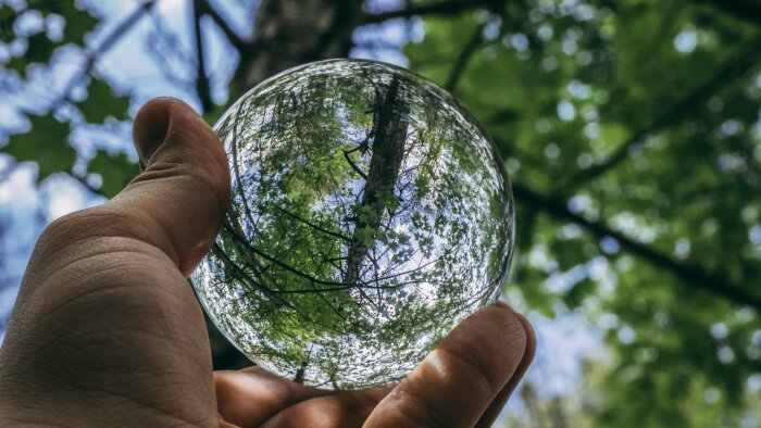 CSE acteur de l’environnement : les droits et les possibilités d’action