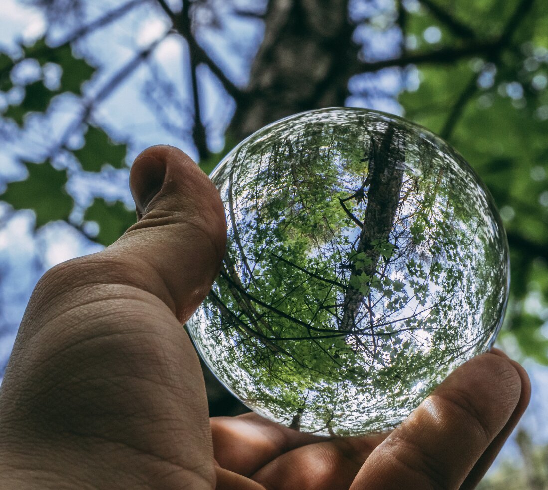 Tous les étudiants de premier cycle devront justifier d’un socle de connaissance commun en transition écologique à l’horizon 2025. - © D.R.