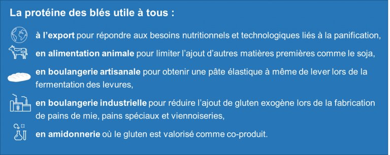 Le Passeport Protéine, une solution pour sécuriser la qualité des blés - © D.R.