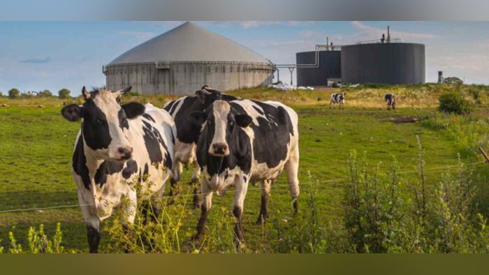 Partenariat entre General Mills et Prospérité Fermière Ingredia pour décarboner l’industrie laitière