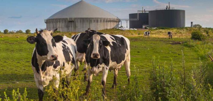 Plan national énergie climat : -9 % d’émissions de GES en 2030, la feuille de route de l’agriculture