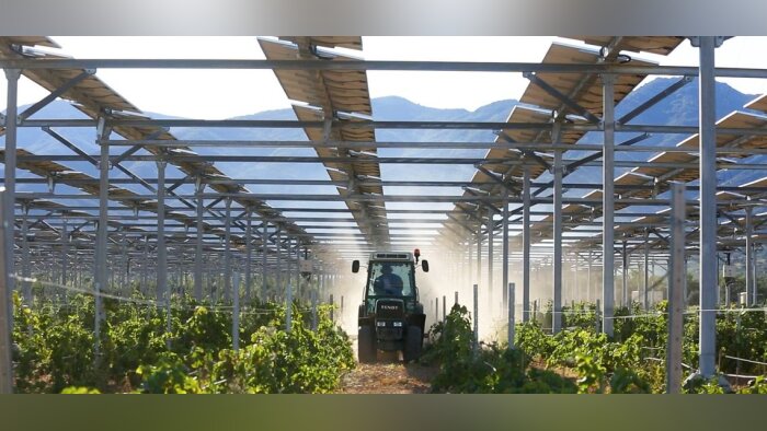 La Nouvelle-Aquitaine veut développer l’agrivoltaïsme
