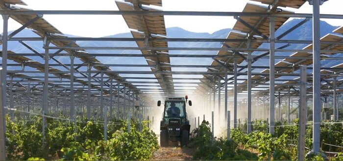 Panneaux photovoltaïques d’ombrage, une première mondiale sur la vigne en France