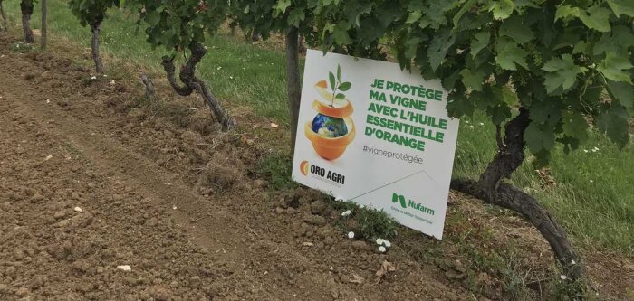 Élodie Rebolle, Oro Agri : « Bientôt du biocontrôle en grandes cultures »
