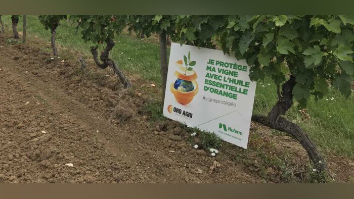 Élodie Rebolle, Oro Agri : « Bientôt du biocontrôle en grandes cultures »