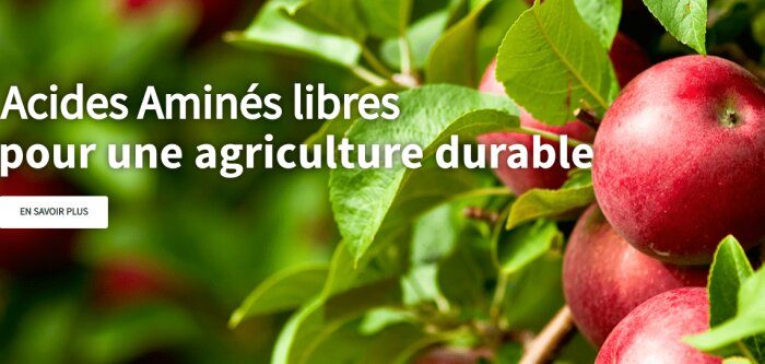 LEAFAMINE obtient son Autorisation de Mise en Marché