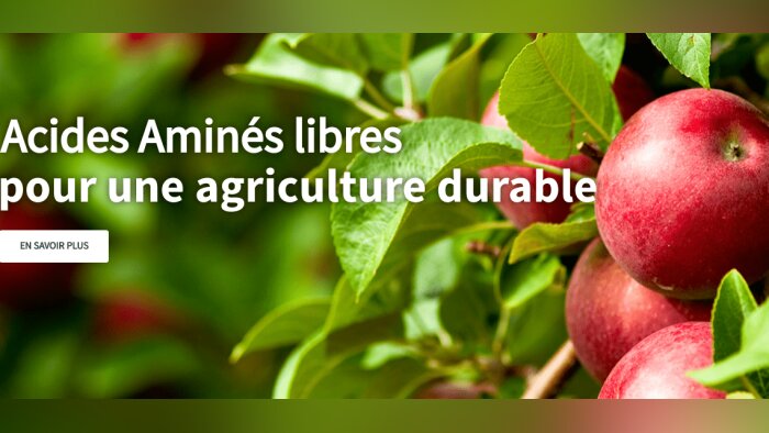 LEAFAMINE obtient son Autorisation de Mise en Marché