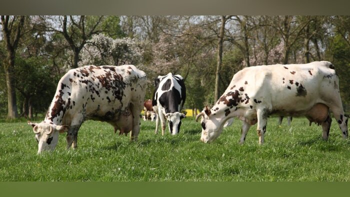 Crédit photo : Chambre agriculture de Normandie - © D.R.