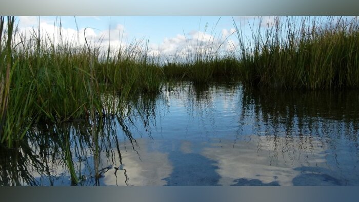 BCAE 2 : « Cette décision laisserait de côté de nombreux territoires », selon un collectif d’acteurs environnementaux