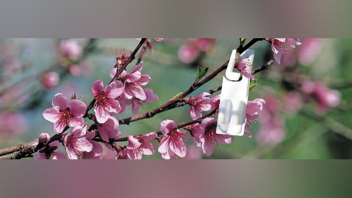 Alternatives aux pesticides, l’UIPP rappelle ses engagements