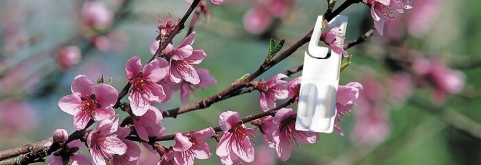 Céline Barthet, IBMA, le point sur les dossiers biocontrôle urgents
