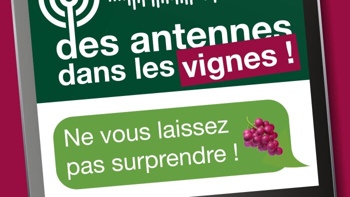 Des antennes dans les vignes 🎙️