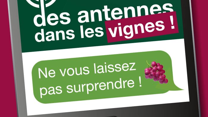 Anticiper les dégâts des tordeuses de la grappe