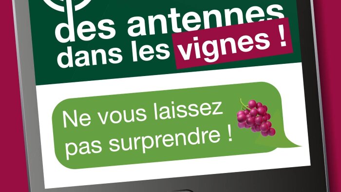 La confusion sexuelle face à Eudémis