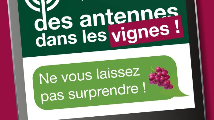 La confusion sexuelle pulvérisable à l’épreuve du terrain