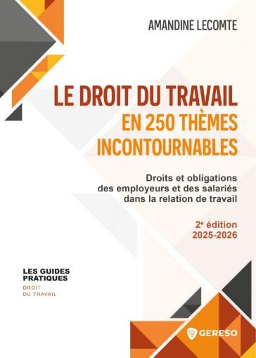 Le droit du travail en 250 thèmes incontournables - © D.R.