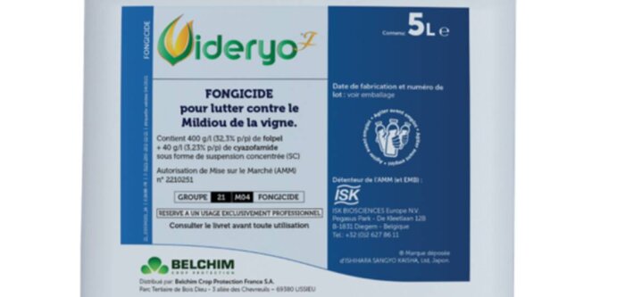 Belchim annonce l’homologation d’une spécialité anti-mildiou vigne, Videryo F