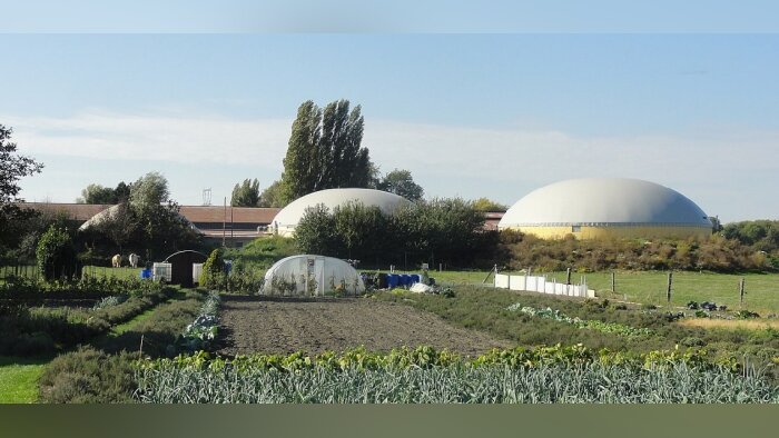 Le projet de décret sur la durabilité des bioénergies en consultation
