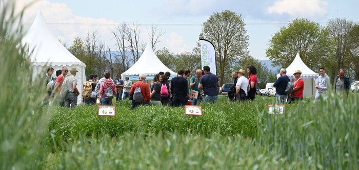 Loire Auvergne Agro adapte les fourragères aux aléas climatiques