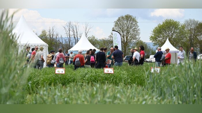Loire Auvergne Agro adapte les fourragères aux aléas climatiques