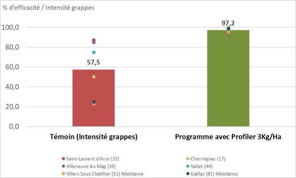 Mildiou de la vigne, Profiler maintient son niveau d’efficacité - © D.R.