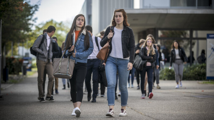 Campus Matin vous propose une synthèse des actualités qui ont marqué le sup’ ces dernières semaines. - © France Universités - Université de Haute Alsace