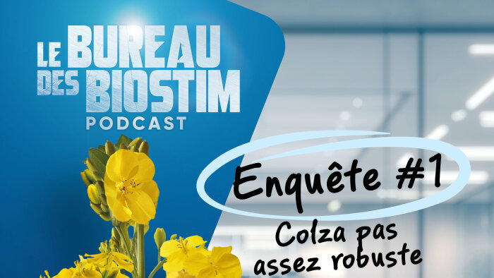 Episode 1 - L’affaire du colza pas assez robuste