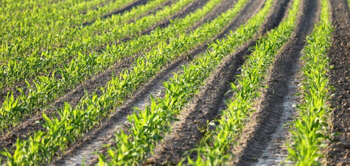Nutrition et biostimulation, le millésime 2022 d’Agronutrition