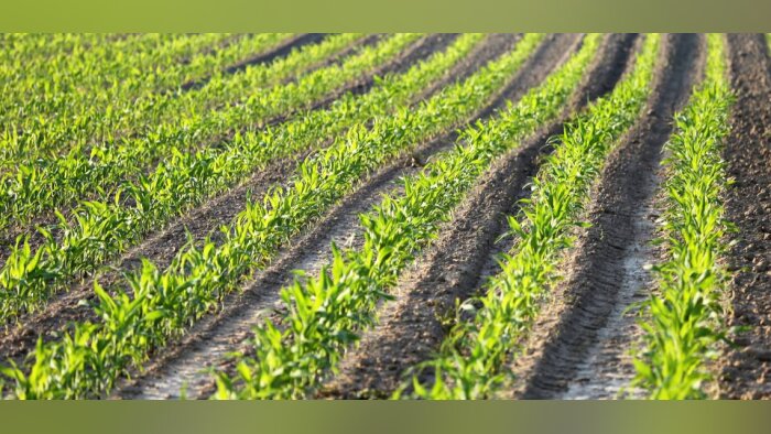 Nutrition et biostimulation, le millésime 2022 d’Agronutrition