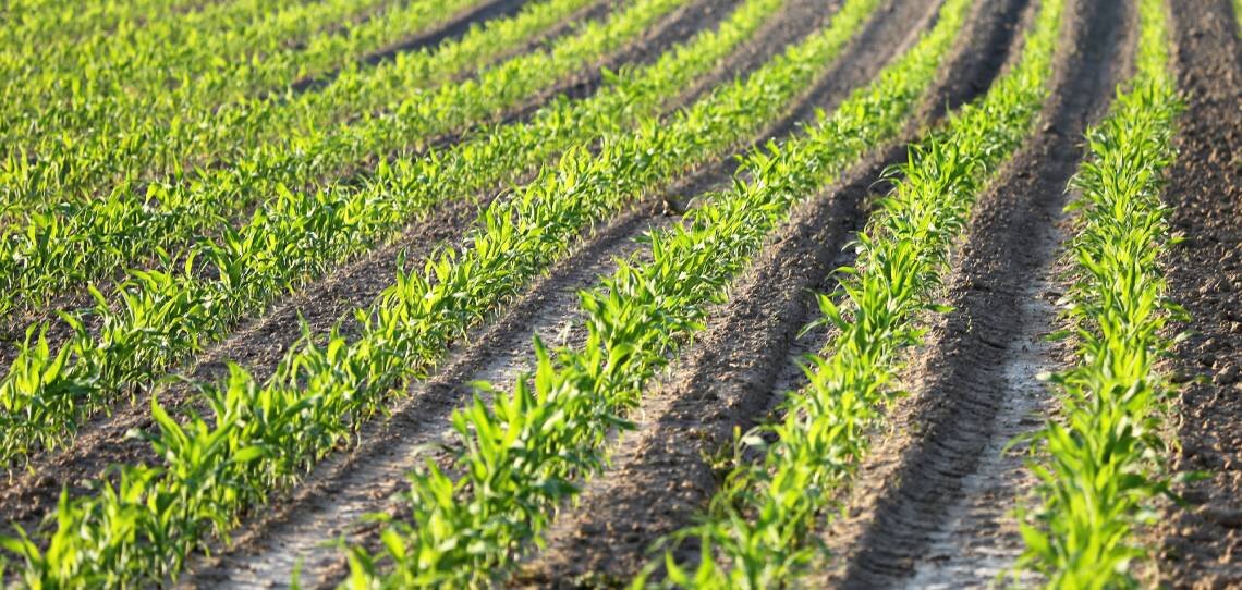 Nutrition et biostimulation, le millésime 2022 d’Agronutrition - © D.R.