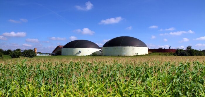 Modern biogas plant in a maize field - © D.R.
