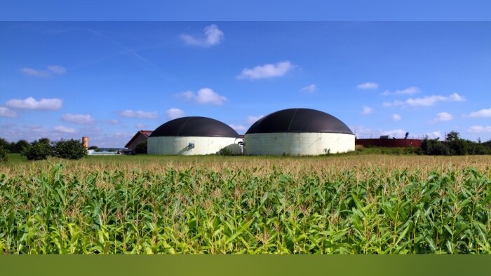 Modern biogas plant in a maize field - © D.R.