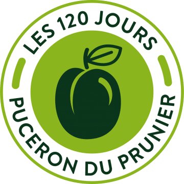 Dérogation de 120 jours pour Limocide et Essen’ciel sur prunier - © D.R.