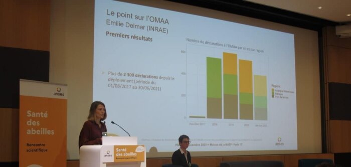 Emilie Delmar, animatrice nationale de l’observatoire des mortalités et des affaiblissements de l’ab - © D.R.