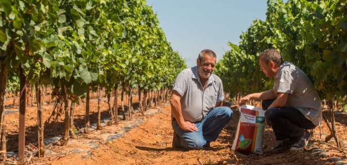Engrais foliaires, une fertilisation de précision et efficace !