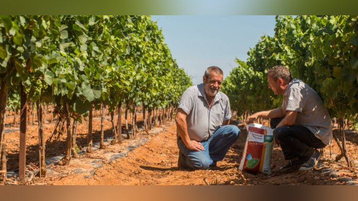 Engrais foliaires, une fertilisation de précision et efficace !