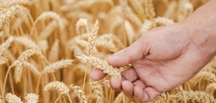« Protecteur par nature », une démarche complète