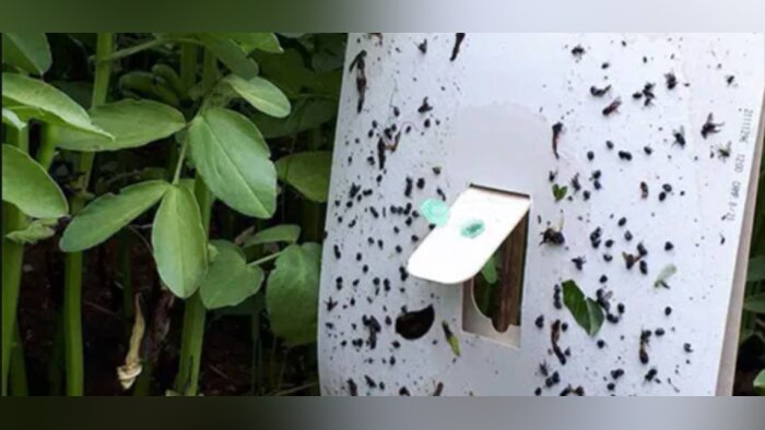 De Sangosse et Agriodor signent le premier accord de distribution exclusive de pièges à base de Kairomones