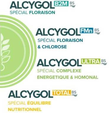 Alcygol BS : La nouvelle gamme de biostimulants homologuée d’Agronutrition - © D.R.