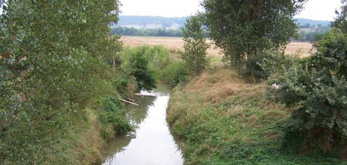 Milieux aquatiques, de nouveaux pesticides à surveiller