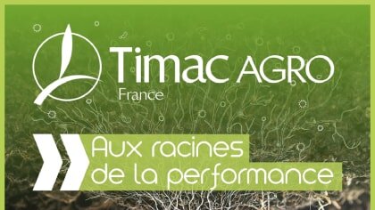 Aux racines de la performance 🎙️