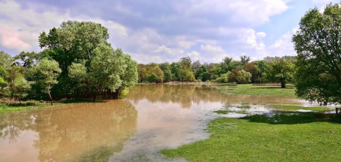Inondations, le Nord-Est de la France durement touché