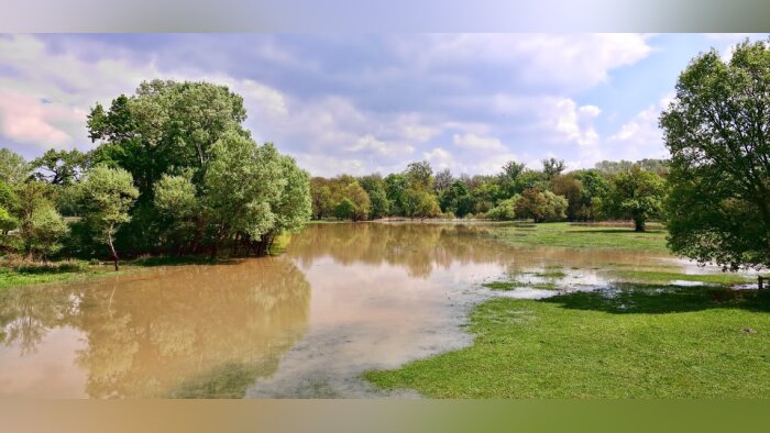 Inondations, le Nord-Est de la France durement touché