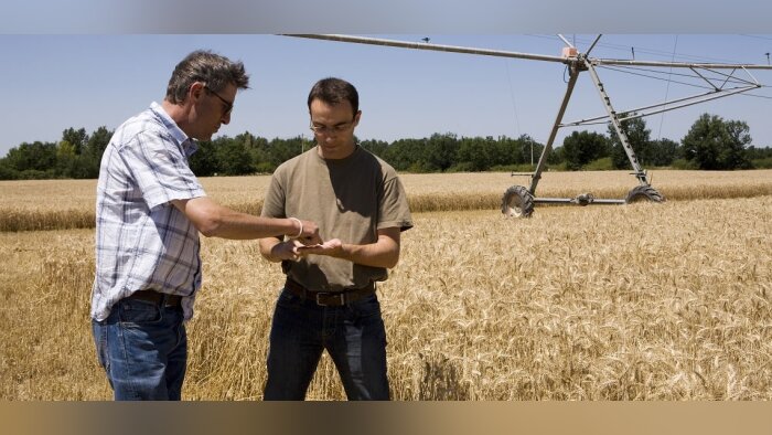 Un projet de loi pour permettre aux coopératives de siéger aux chambres d’agriculture